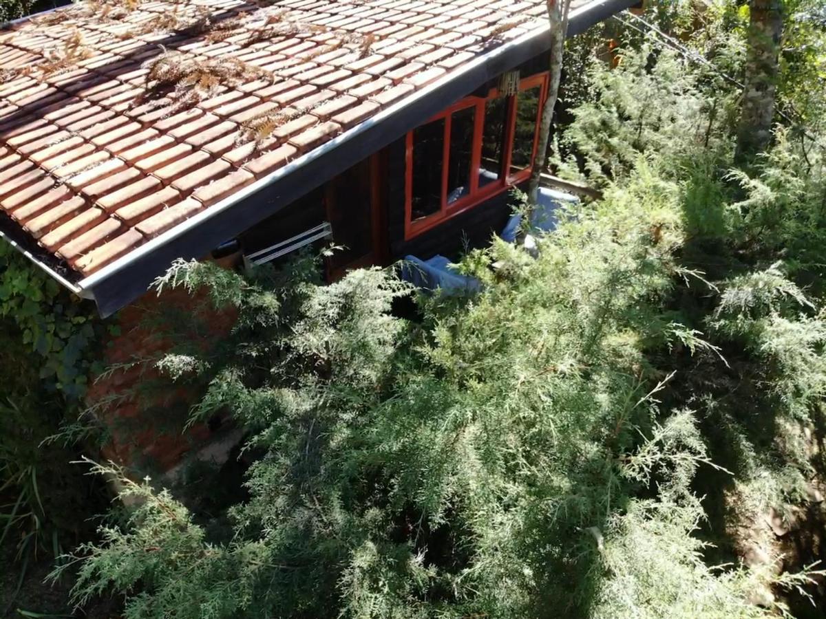 Fora De Estrada Chalet